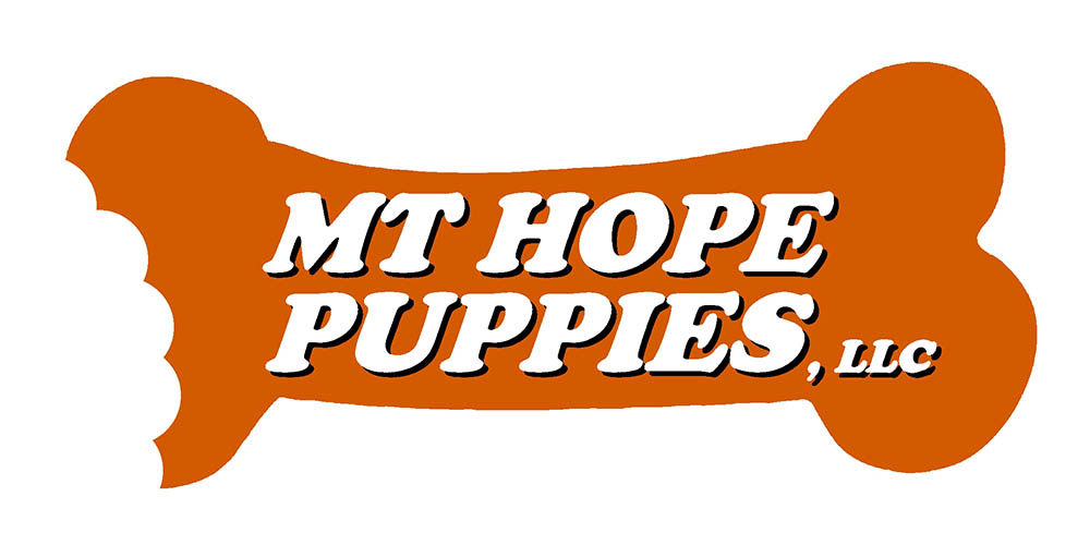 Thank you for visiting our Mt. Hope Puppies website!